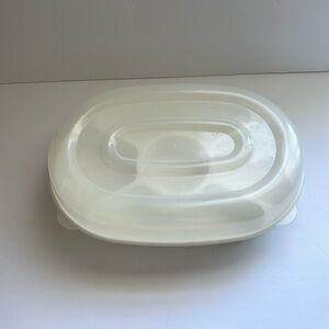 Used Plastic party tray